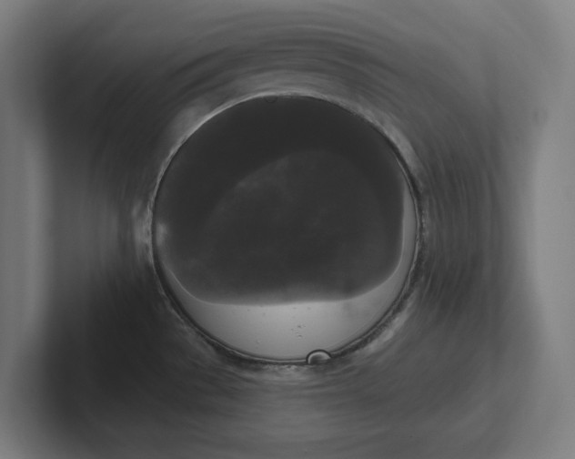 X0000102001529200808011111