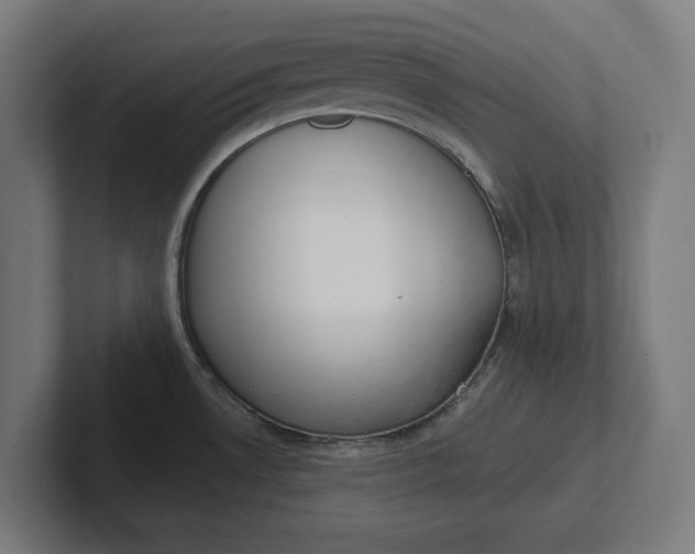 X0000102001530200808011111