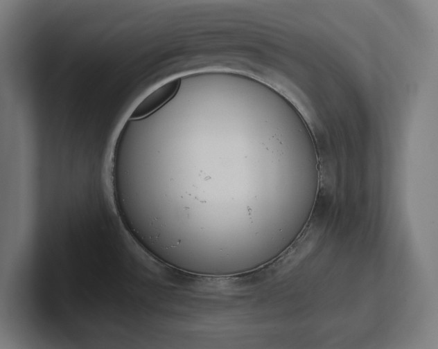 X0000102001532200808011111