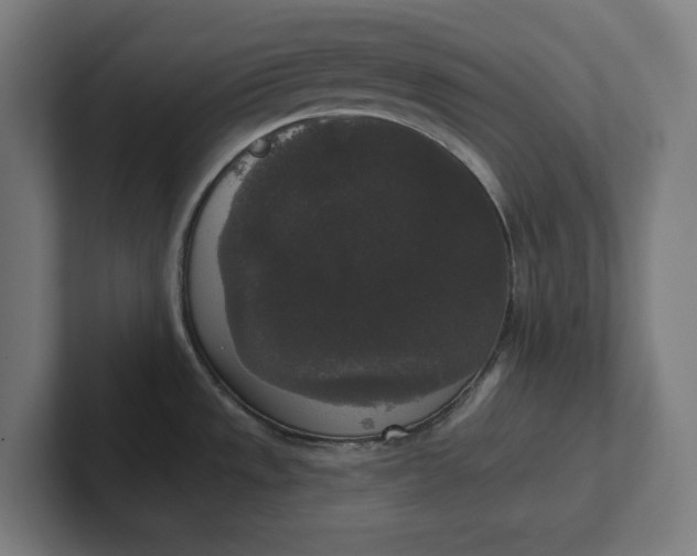 X0000102001533200808011111