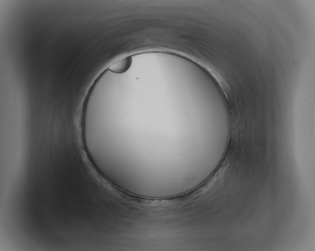 X0000102001534200808011111