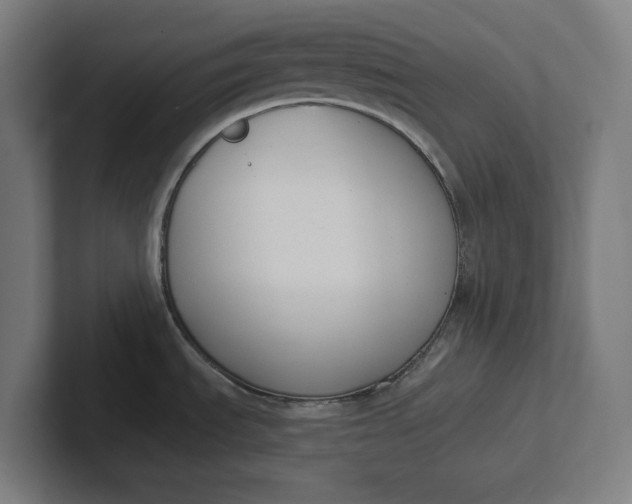 X0000102001535200808011111