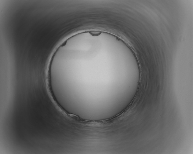 X0000102001536200808011111