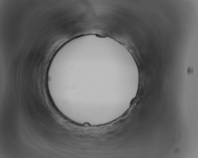 X0000102000001200808081711