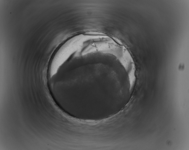 X0000102000002200808081711