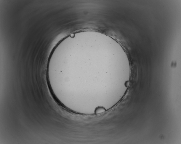 X0000102000003200808081711