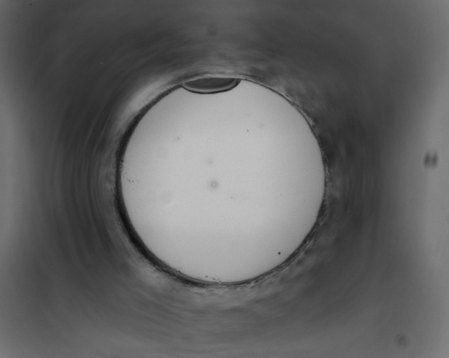 X0000102000005200808081711