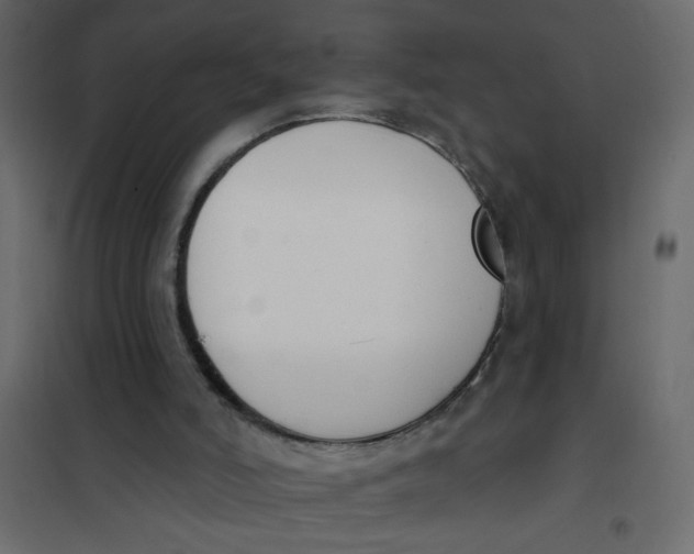 X0000102000006200808081711