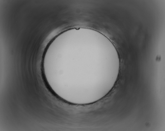 X0000102000007200808081711