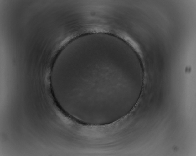 X0000102000009200808081711