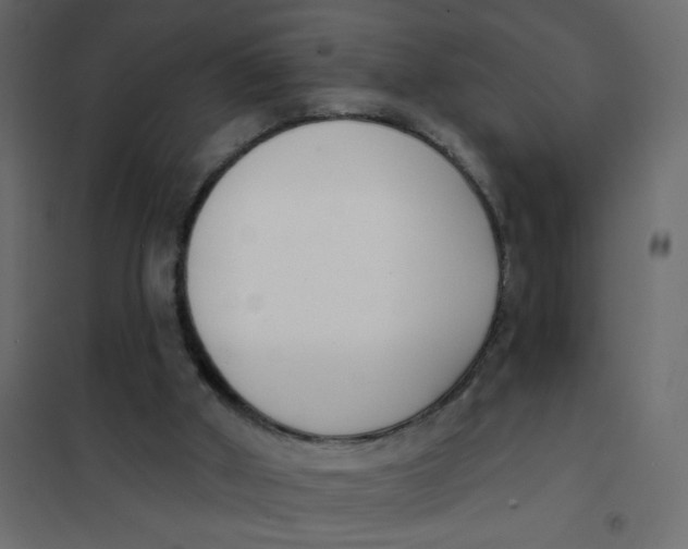 X0000102000010200808081711