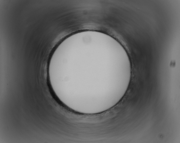 X0000102000011200808081711