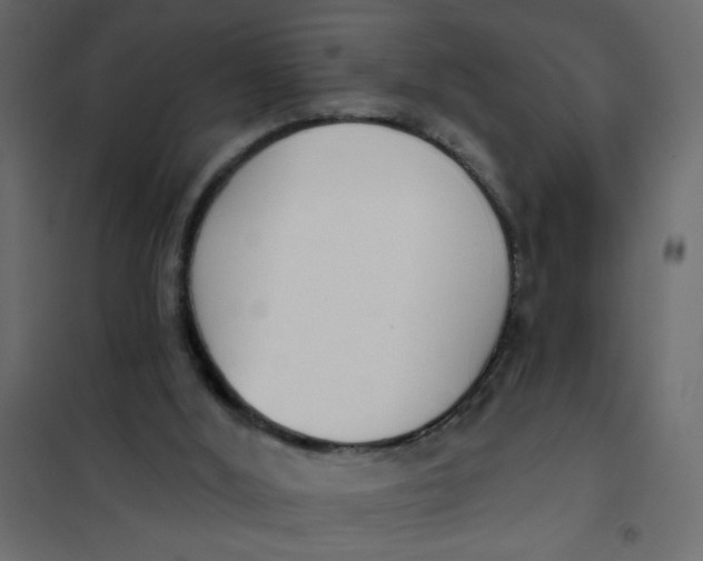 X0000102000012200808081711