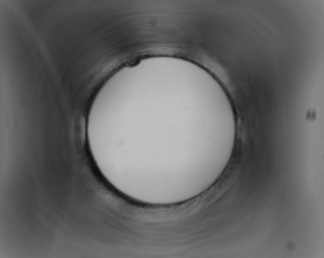 X0000102000013200808081711