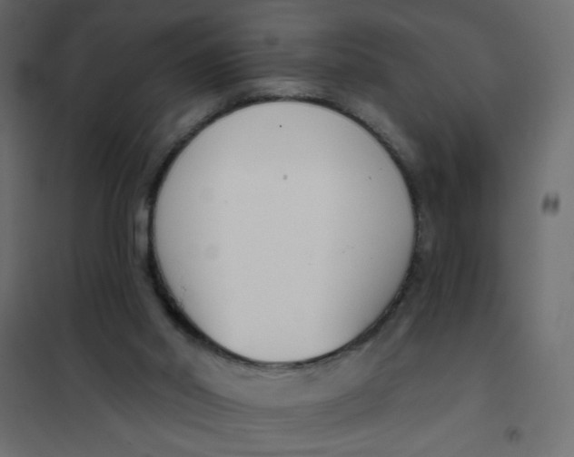 X0000102000014200808081711