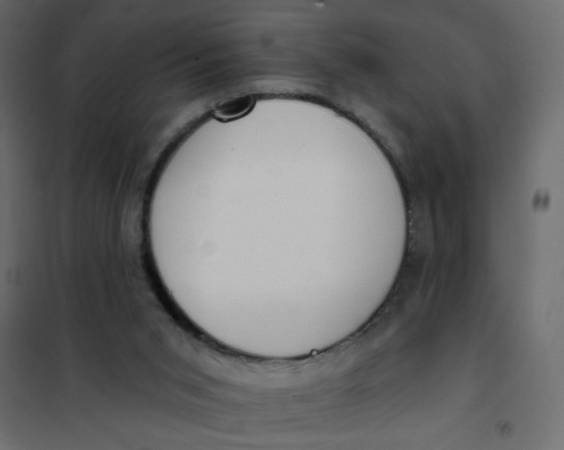 X0000102000015200808081711