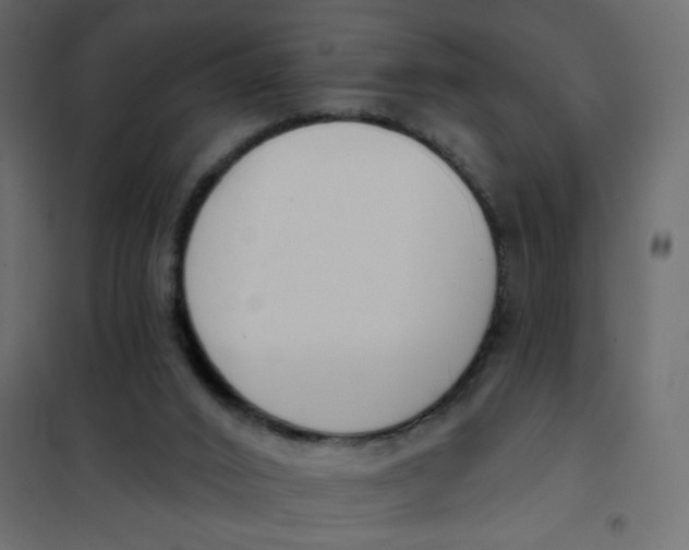 X0000102000016200808081711