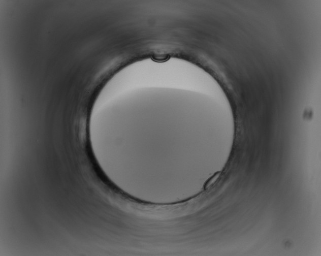 X0000102000019200808081711