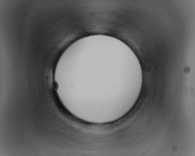 X0000102000020200808081711