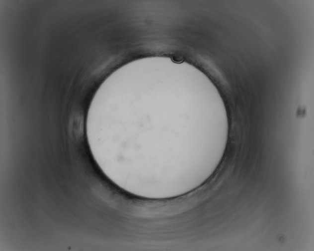 X0000102000021200808081711