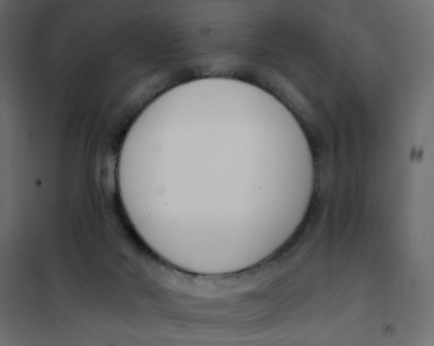 X0000102000022200808081711