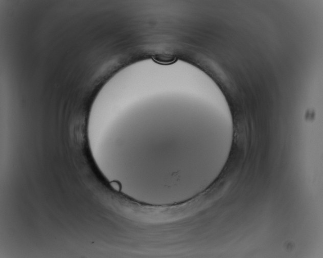 X0000102000023200808081711