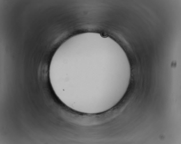 X0000102000024200808081711