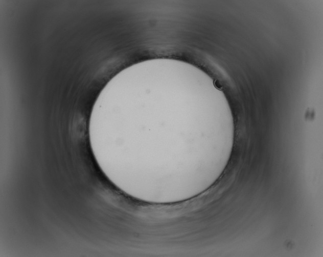 X0000102000025200808081711