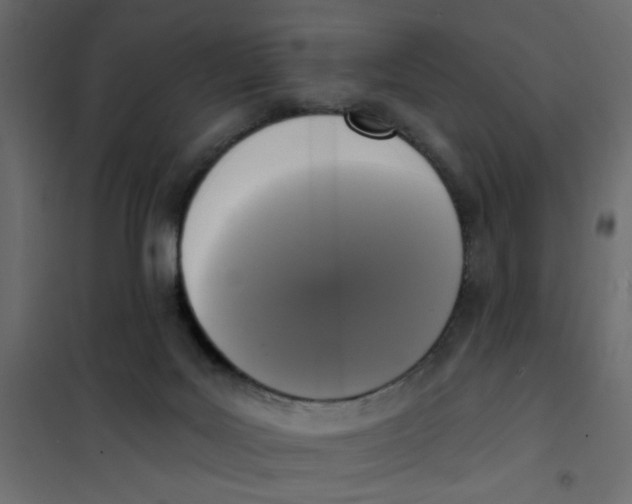 X0000102000027200808081711