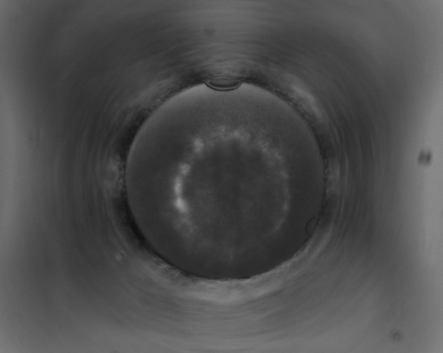 X0000102000029200808081711