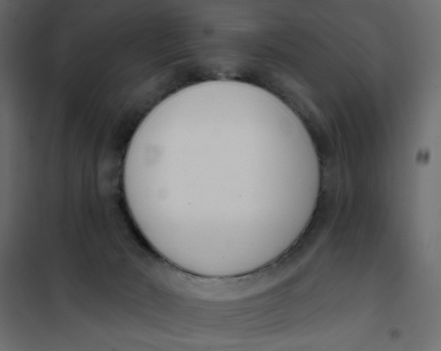 X0000102000030200808081711