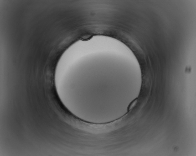 X0000102000031200808081711