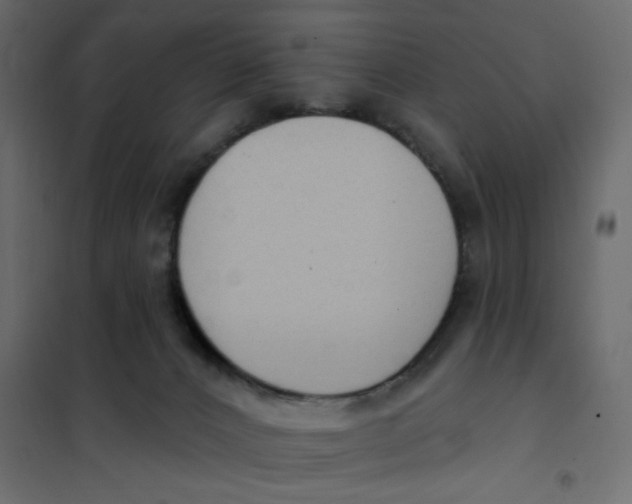 X0000102000032200808081711