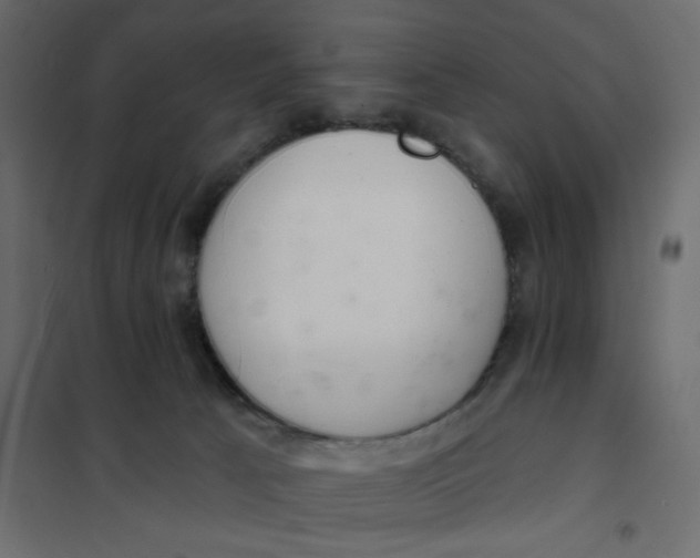 X0000102000033200808081711