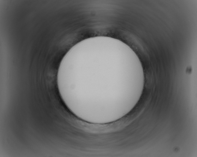 X0000102000034200808081711