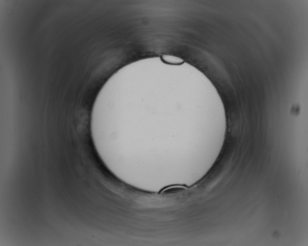 X0000102000036200808081711