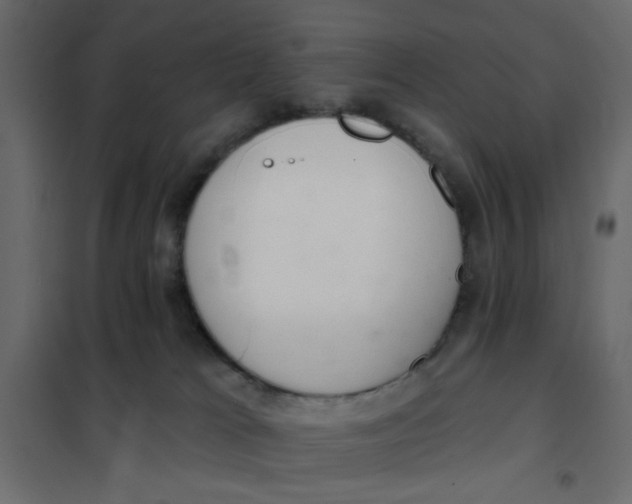 X0000102000037200808081711