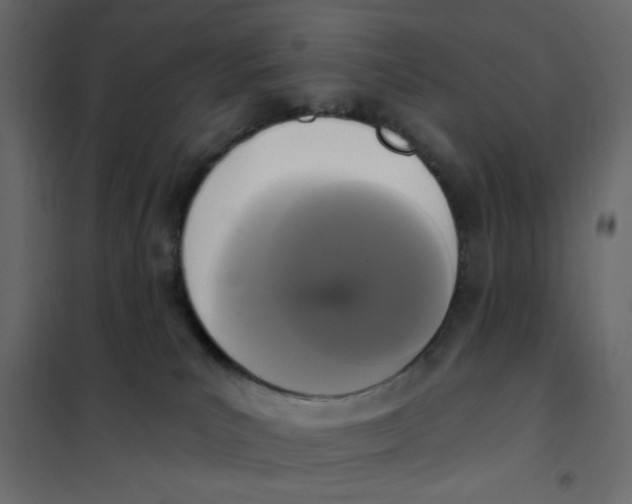 X0000102000039200808081711