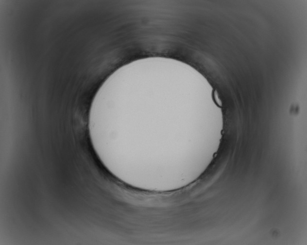 X0000102000040200808081711