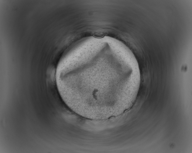 X0000102000041200808081711