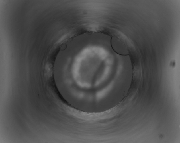 X0000102000043200808081711