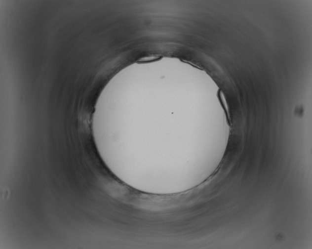 X0000102000045200808081711