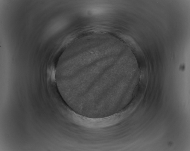 X0000102000046200808081711