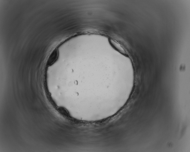 X0000102000049200808081710