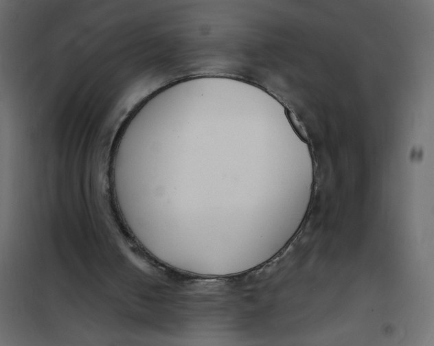 X0000102000050200808081710