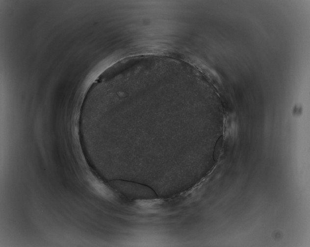 X0000102000051200808081710