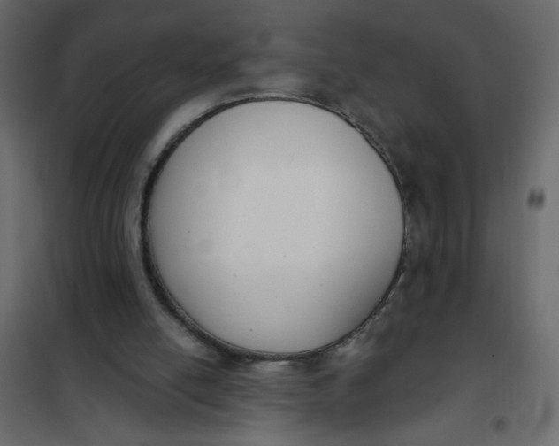 X0000102000054200808081710