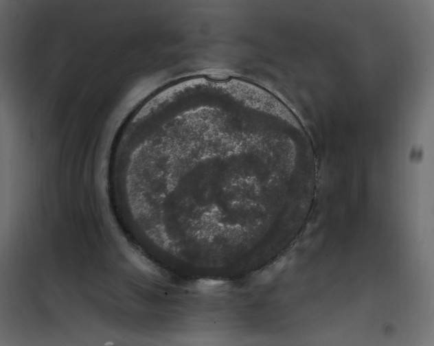 X0000102000055200808081710