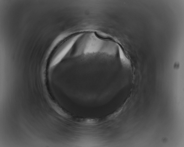 X0000102000056200808081710