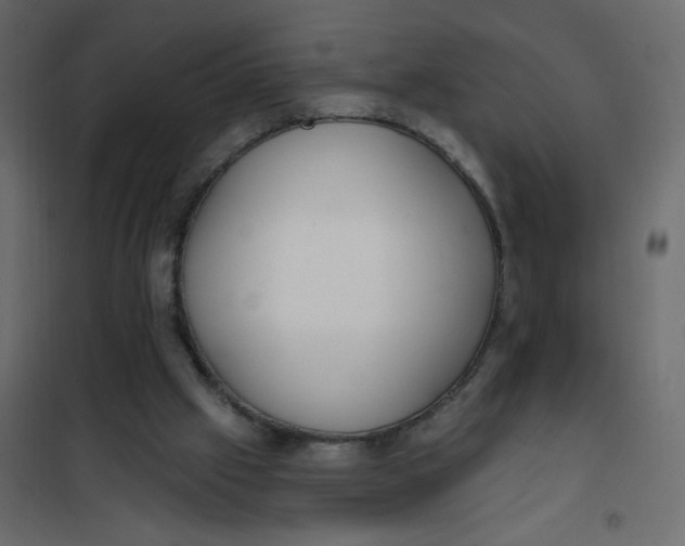 X0000102000057200808081710